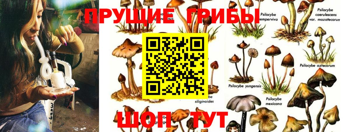Псилоцибиновые грибы Psilocybine cubensis  Галлюциногенные грибы мицелий  Вход с VPN  Джанкой 